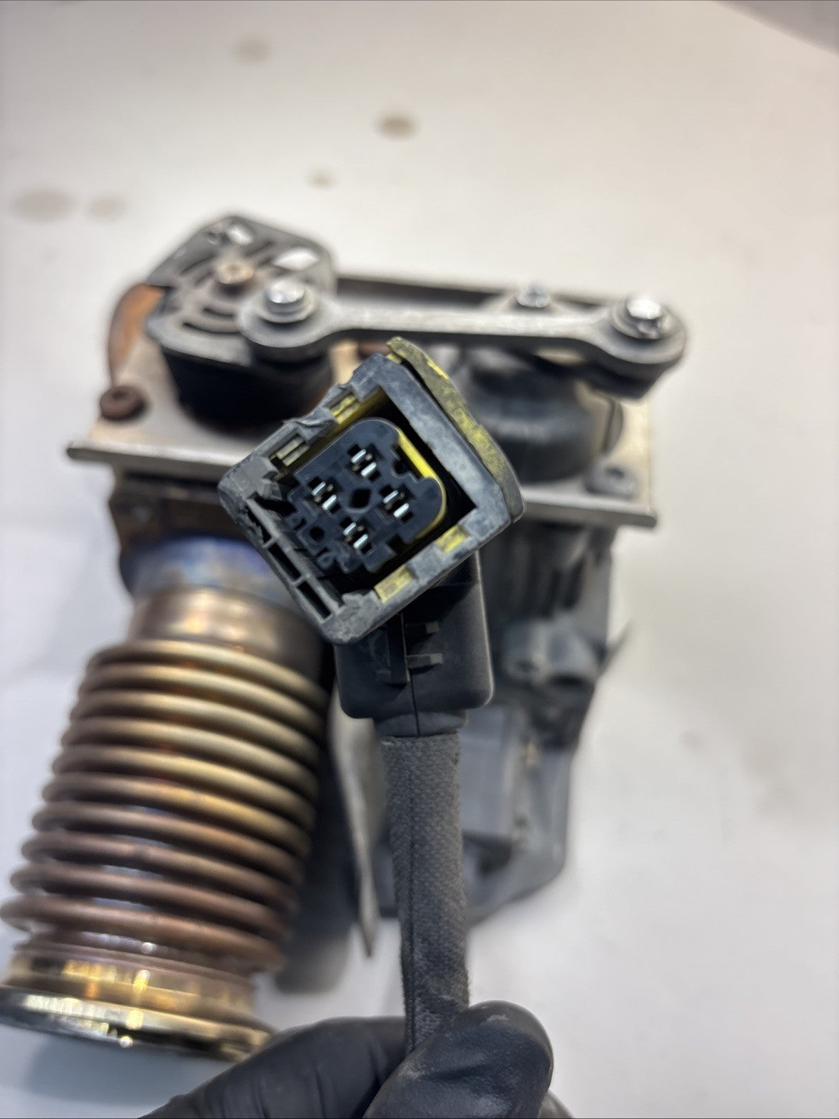 2128145 Genuine Paccar EGR Control Valve