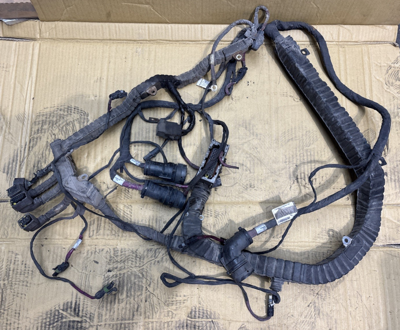 Peterbilt Chassis Wiring Harness D92-6212-001