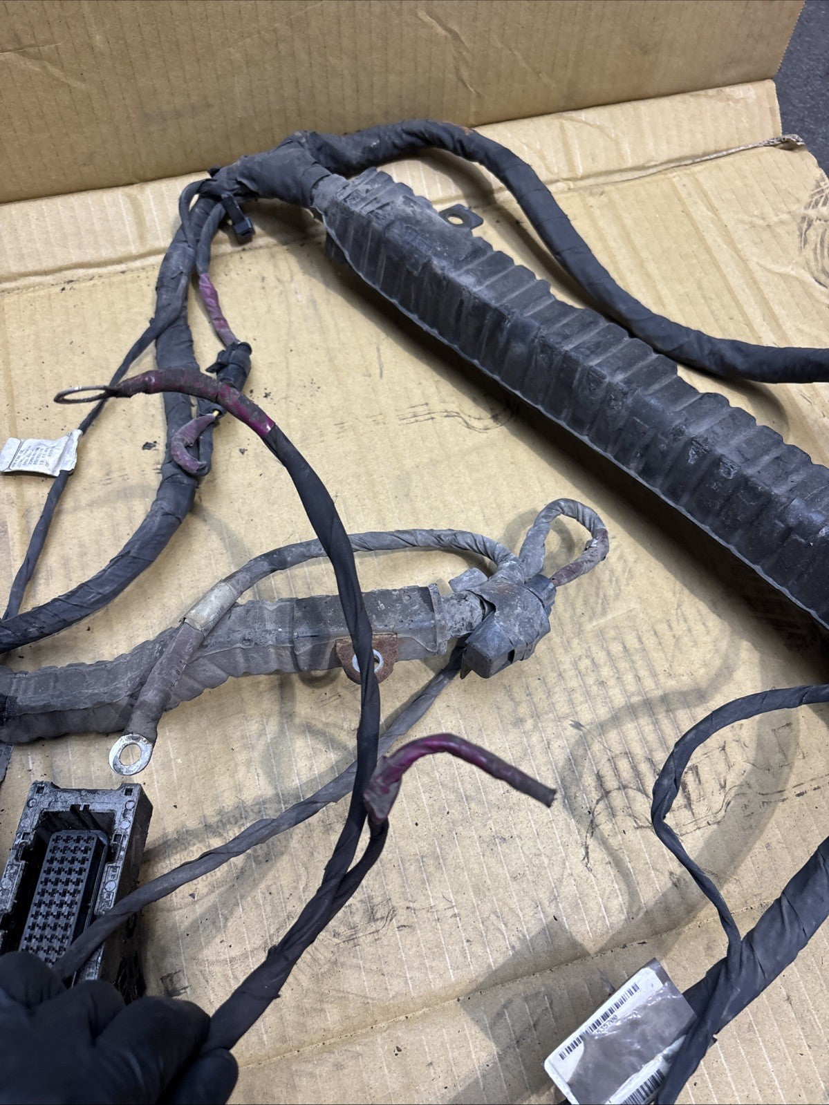 Peterbilt Chassis Wiring Harness D92-6212-001