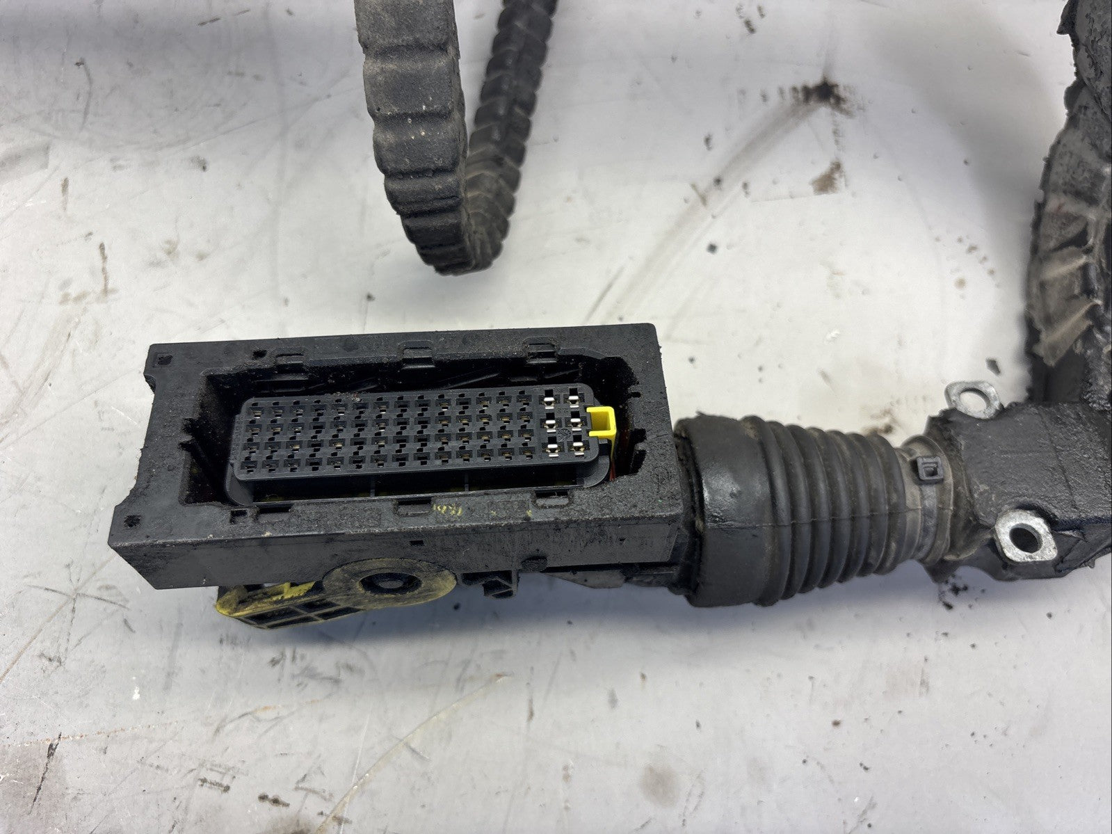 2146987 Paccar MX13 Engine Injector Wiring Harness