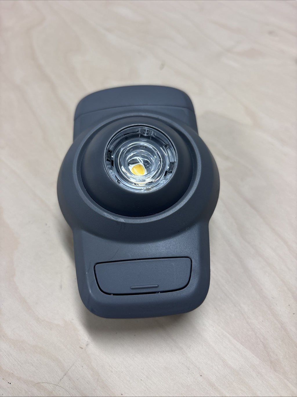 2018-2023 PETERBILT 579 PACCAR DOOR INTERIOR DOME LAMP LIGHT P54-1213-101720 OEM