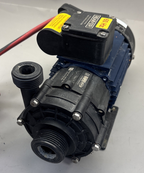 Renner Flux Magnet Drive Pump 0.2 HP 60Hz