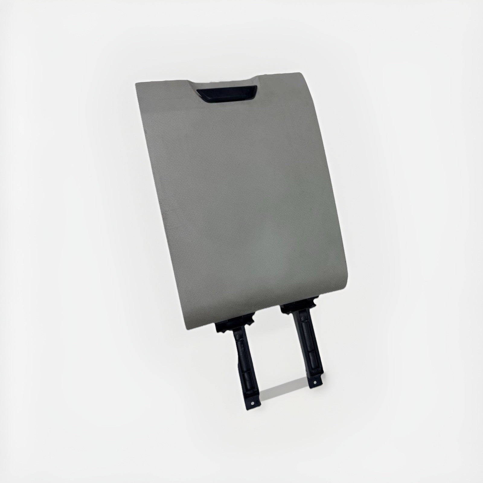 FREIGHTLINER CASCADIA LEFT OVER HEAD STORAGE CABINET DOOR 18-68889-000