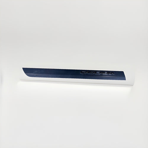 2018-2023 FREIGHTLINER CASCADIA FRONT RIGHT DASH MOLDING TRIM 22-73800-000 OEM
